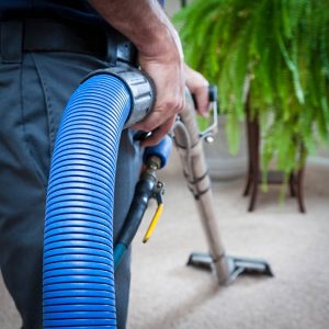 Carpet & Upholstery Cleaning
