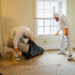Hazardous Material Cleanup