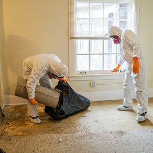 Hazardous Material Cleanup