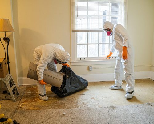 Hazardous Material Cleanup